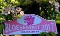 Bloesemrit 2017_ (100)